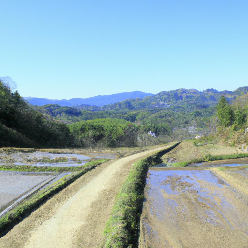 香美市の土地管理はこれで決まり！理想的な土地活用法を提案します